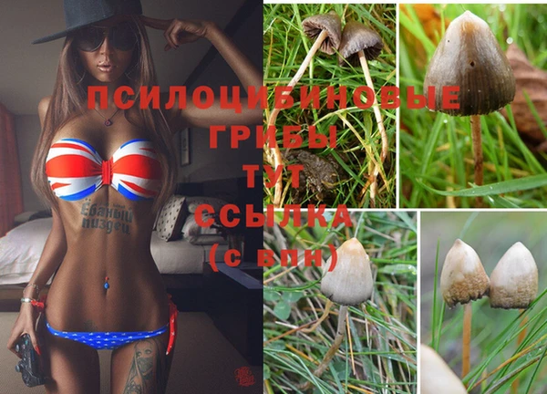 стаф Беломорск