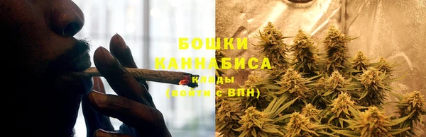 мяу мяу мука Новый Уренгой