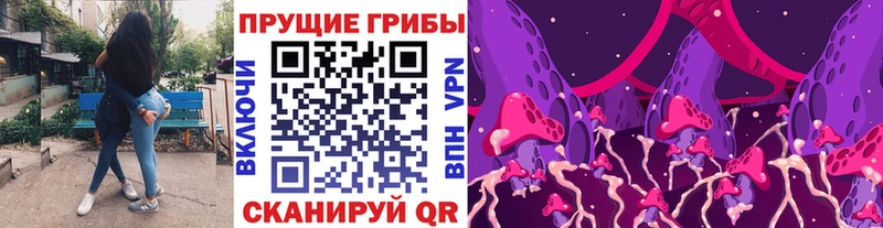 Галлюциногенные грибы Psilocybine cubensis  купить наркотик  Пермь 