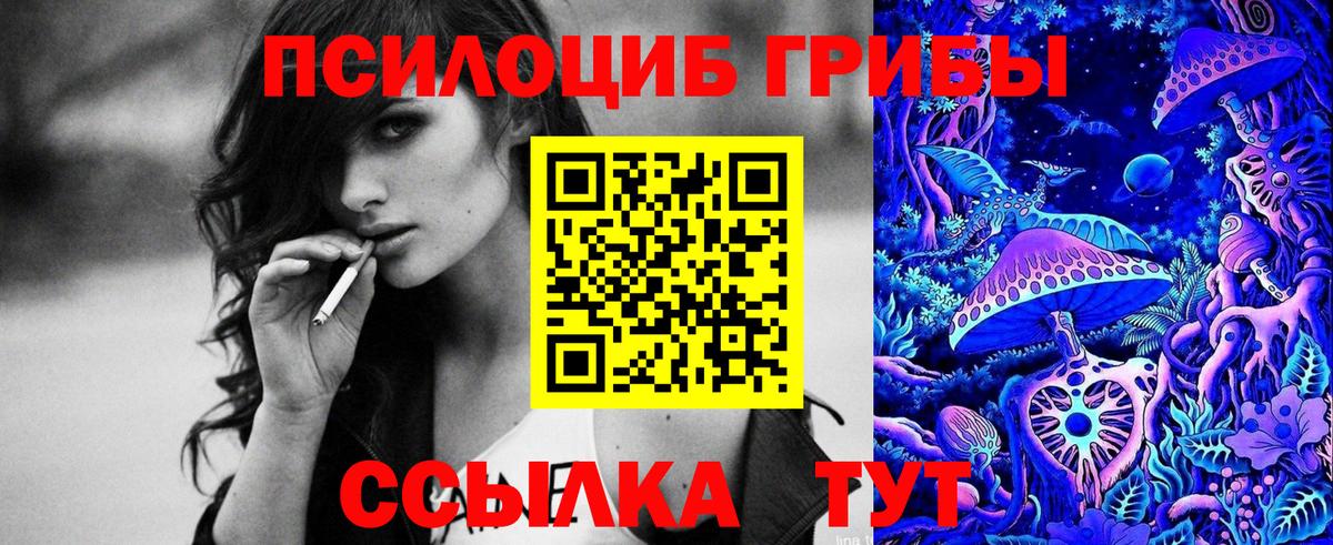 Псилоцибиновые грибы мицелий Пермь