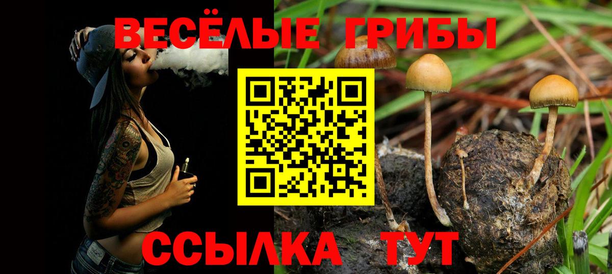 Галлюциногенные грибы Psilocybe  Вход с VPN  Пермь 